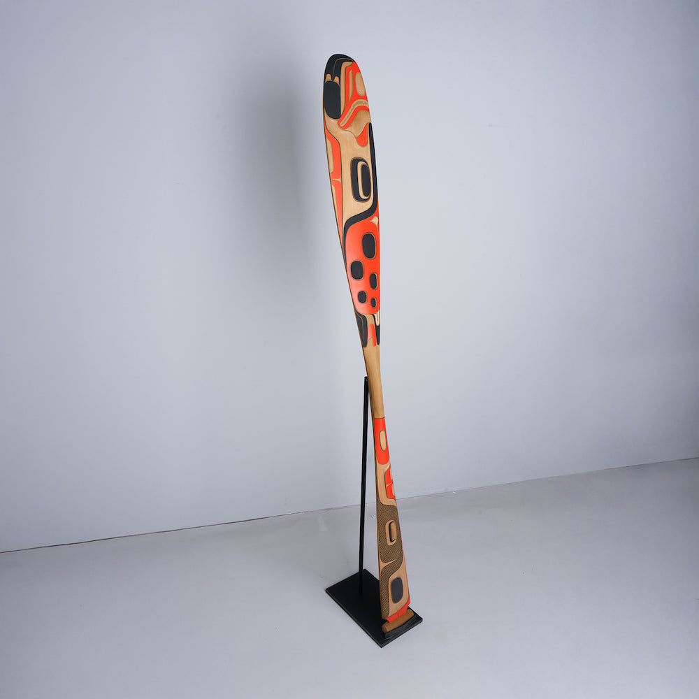 Ladybug Paddle