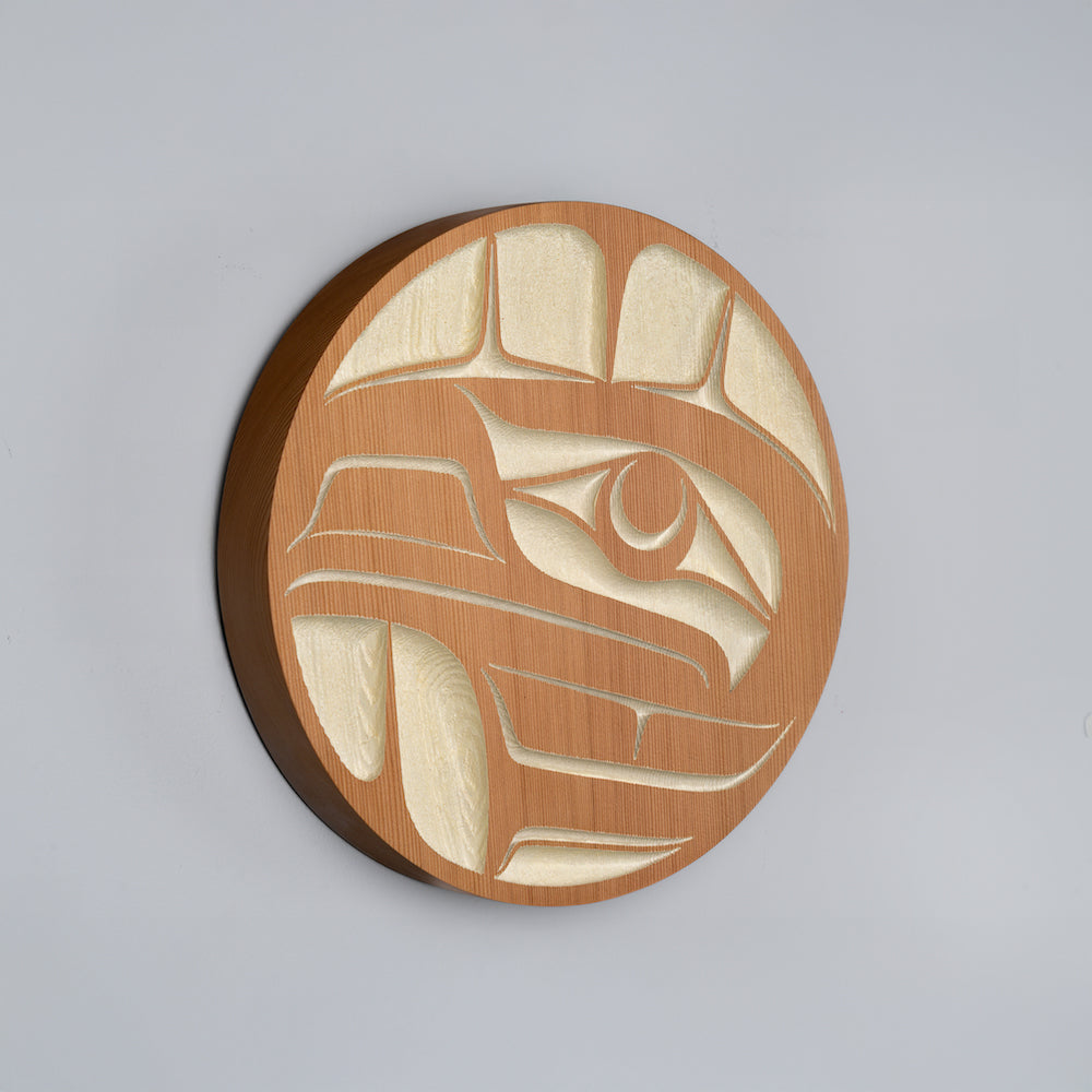 Raven Panel