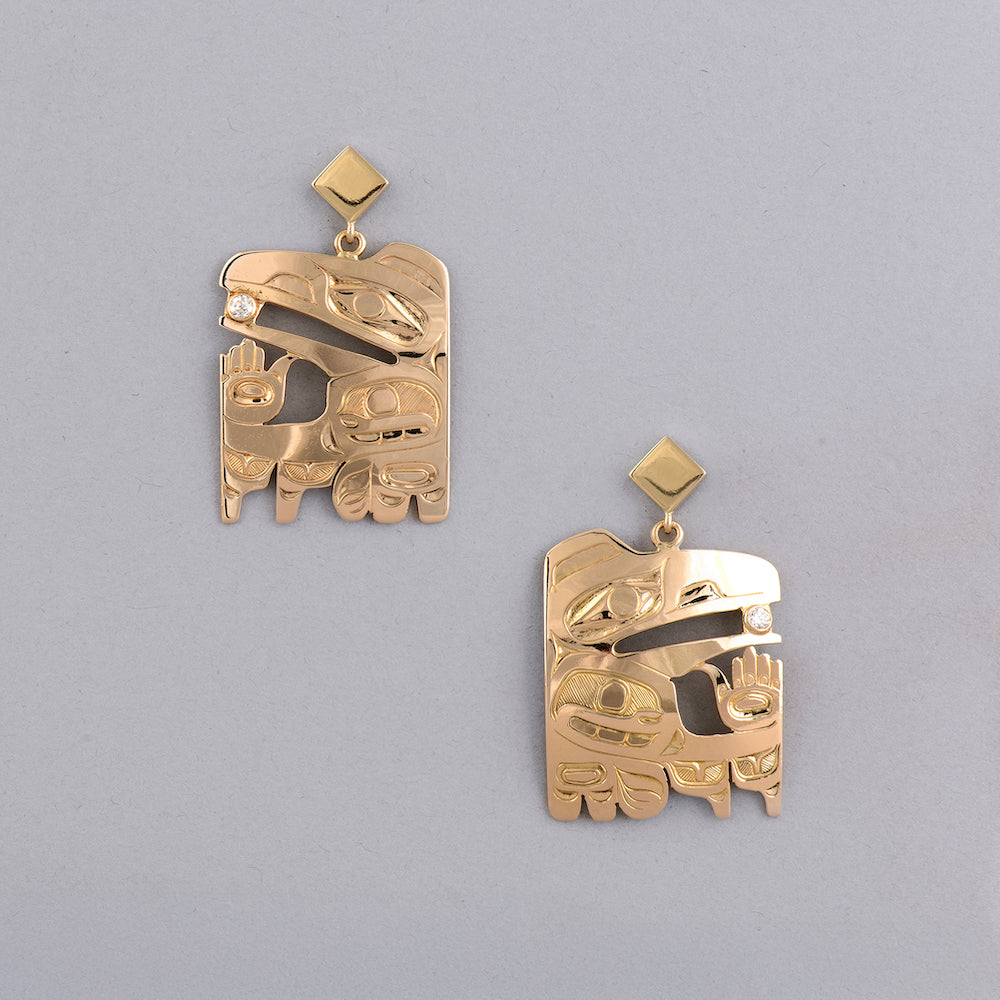 Raven & Light Earrings